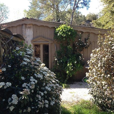 Cabane De La Leque Fontvieille Dış mekan fotoğraf