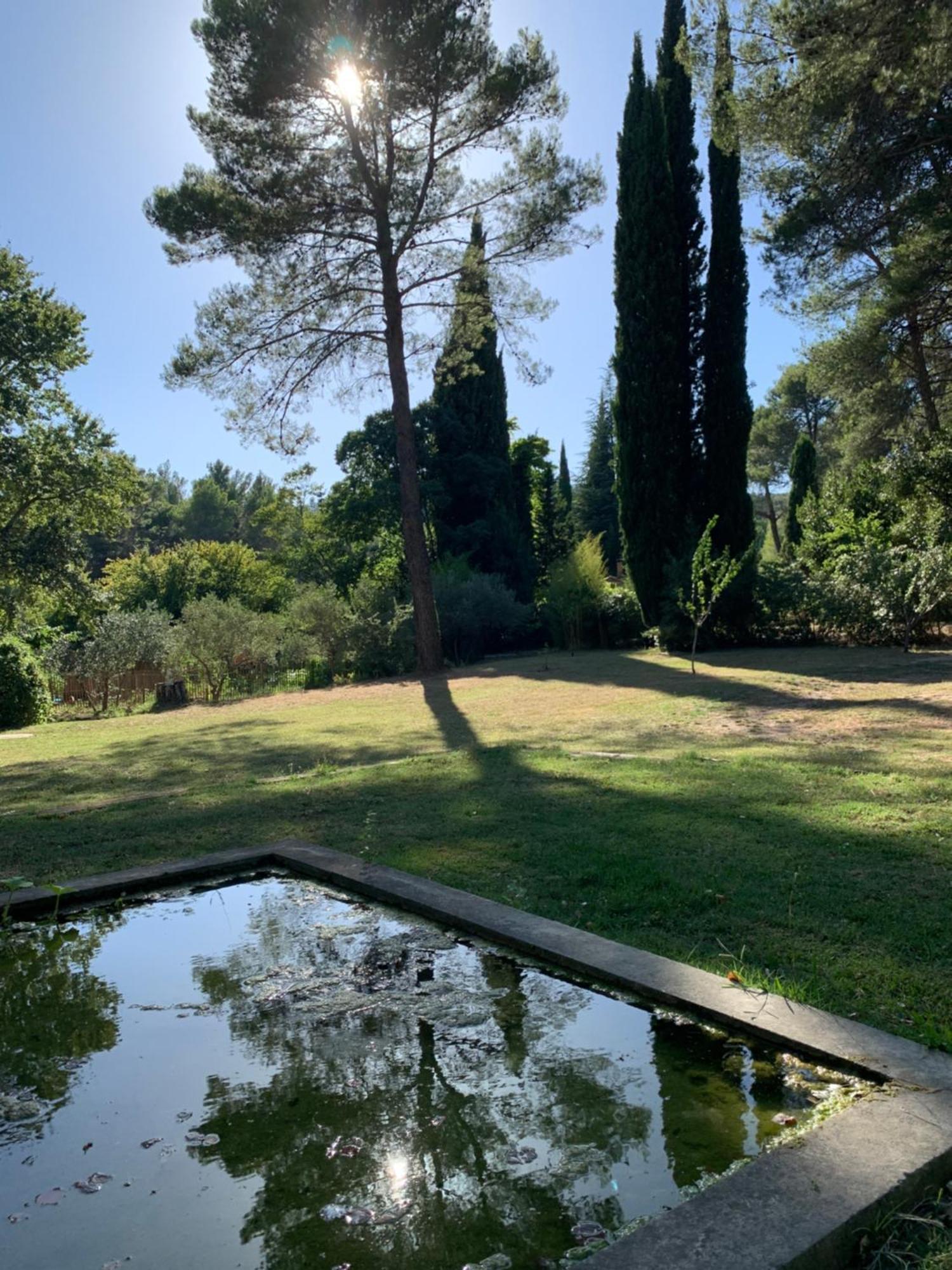 Cabane De La Leque Fontvieille Dış mekan fotoğraf