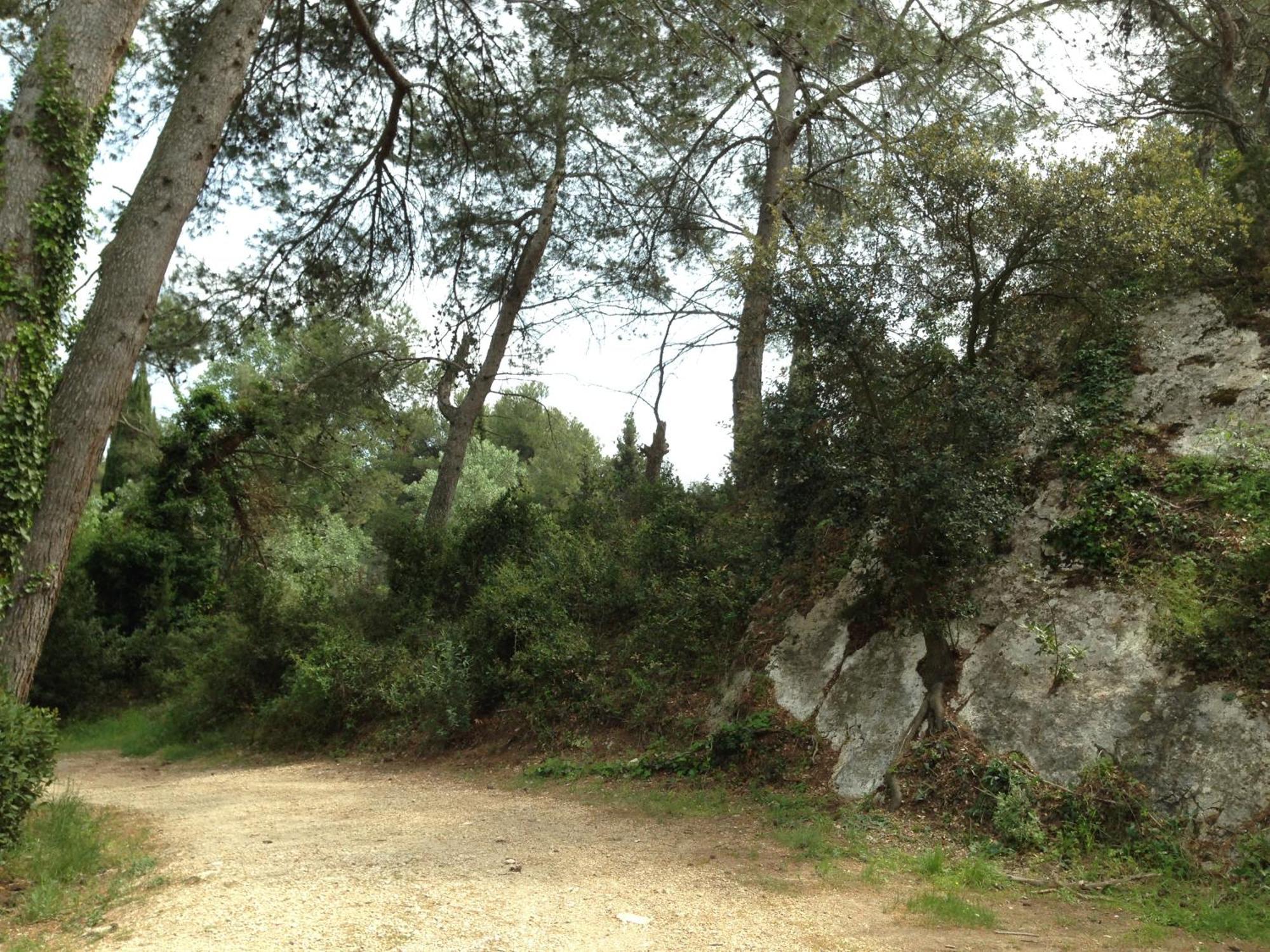 Cabane De La Leque Fontvieille Dış mekan fotoğraf
