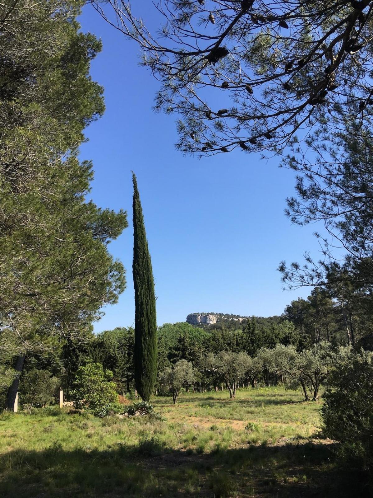 Cabane De La Leque Fontvieille Dış mekan fotoğraf