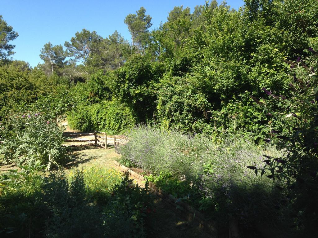 Cabane De La Leque Fontvieille Dış mekan fotoğraf